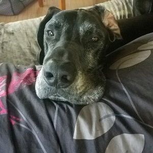 Meet your Posher, Kaitlyn